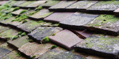 Llwyn Y Brain roof repair costs